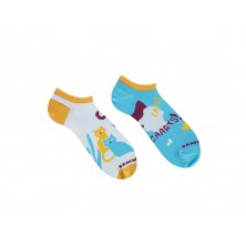 Cats short